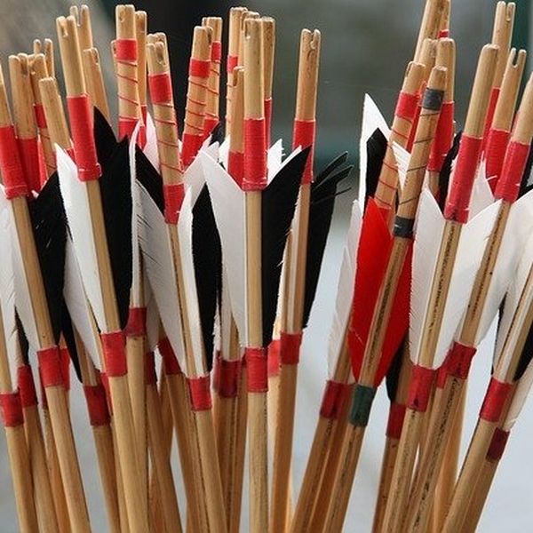 Holzpfeile kaufen